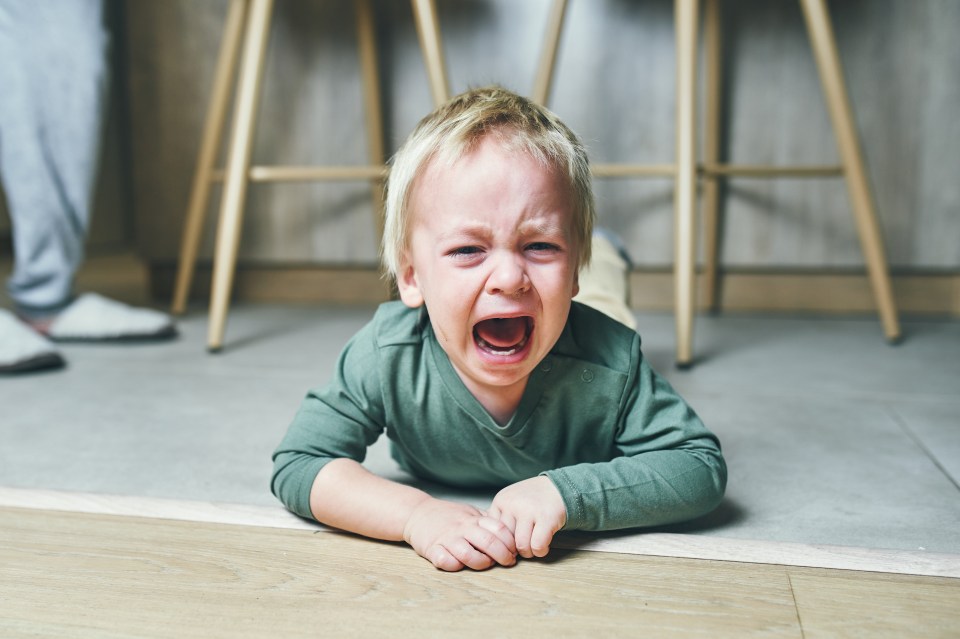 An expert explained that you shouldn’t say ‘use your words’ to a child having a meltdown