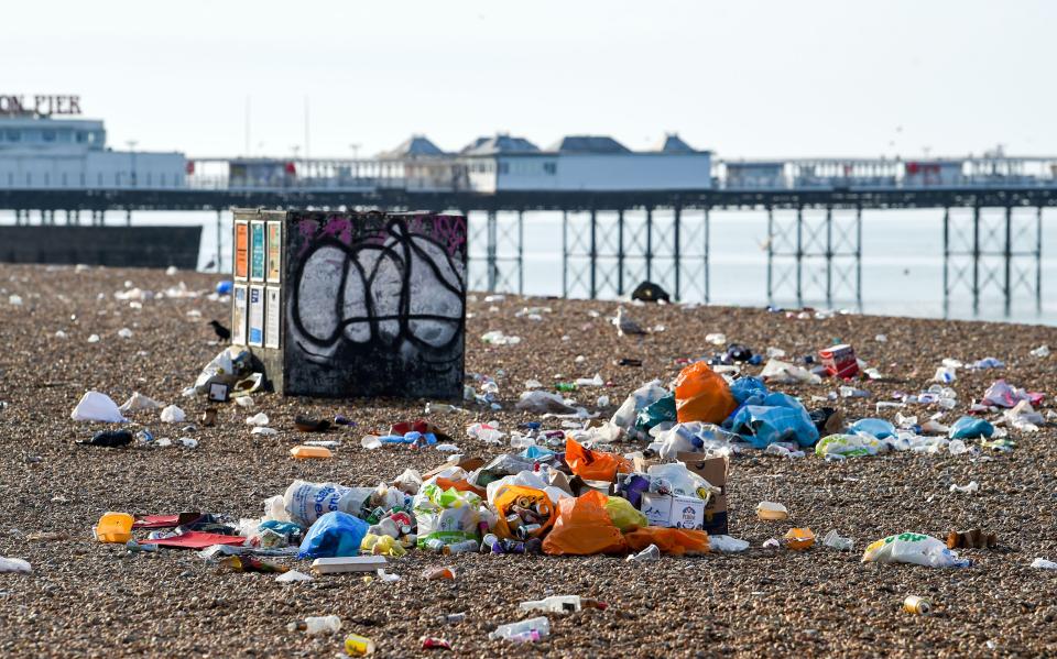 While almost half the Brits surveyed admitted to littering, 43 per cent said they are worried rubbish is ruining coastal landscapes