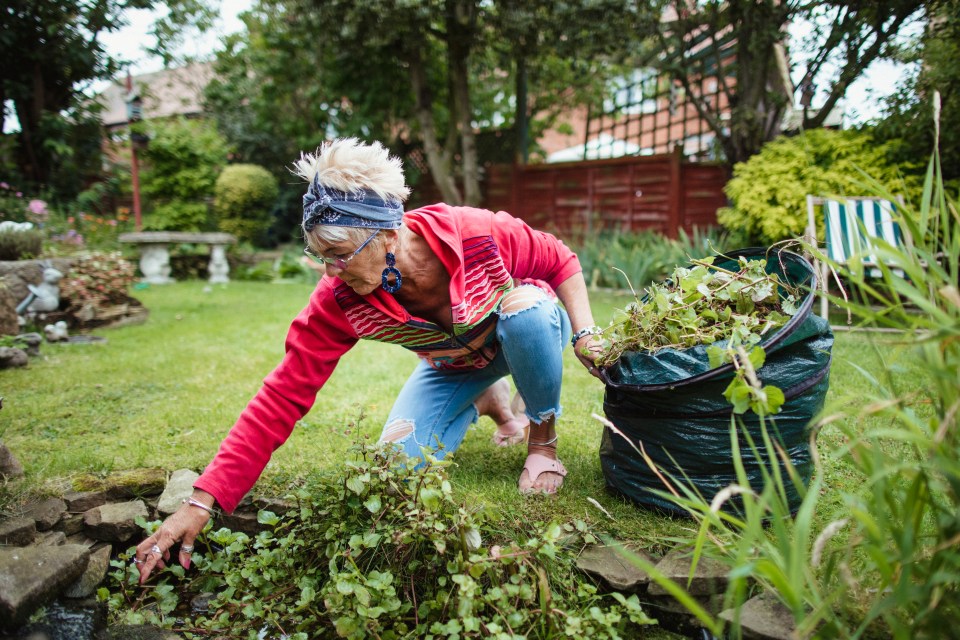 Remember that the fruit, flowers and branches that end up in your garden still technically belong to your neighbour