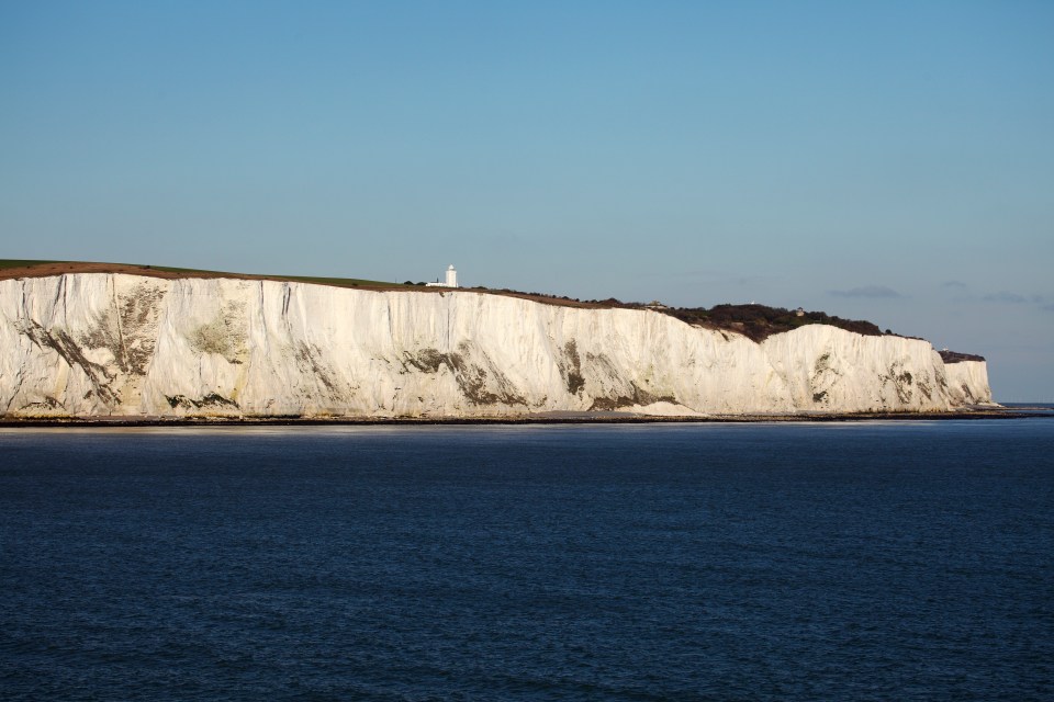 Two lads who saw the mystery beast shouted ‘is that a shark?’ before legging it at The Warren beach near Folkestone