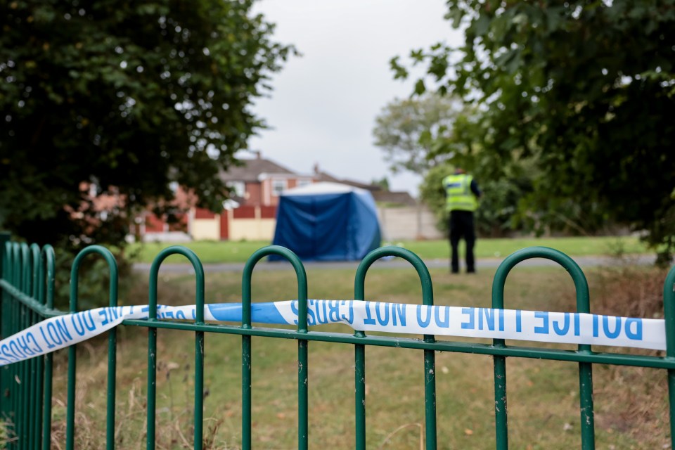 The scene in Droylsden, Greater Manchester, where a young girl was allegedly abducted and sexually assaulted on Wednesday