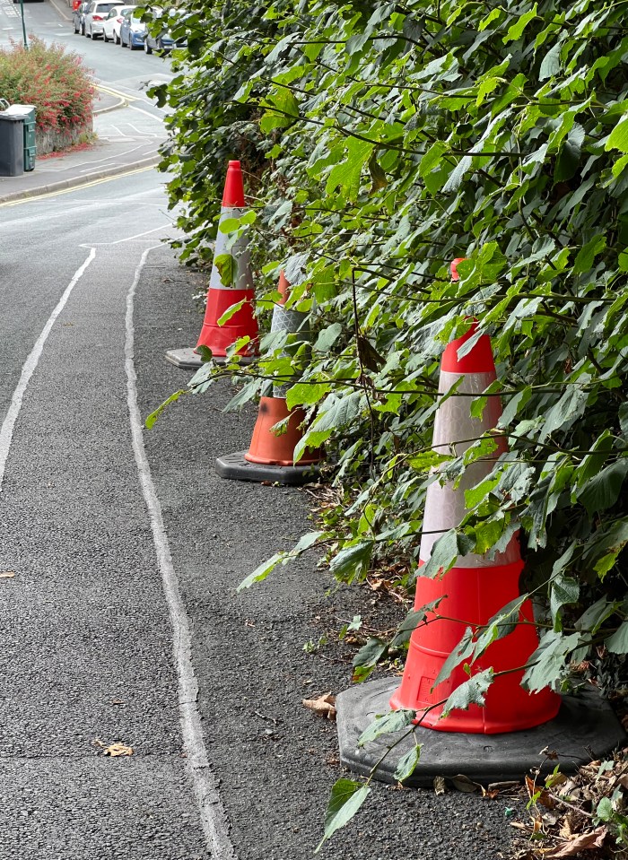 Desperate local Vicky Griffith, 43, uses parking cones to dissuade oblivious tourists from parking in front of her drive