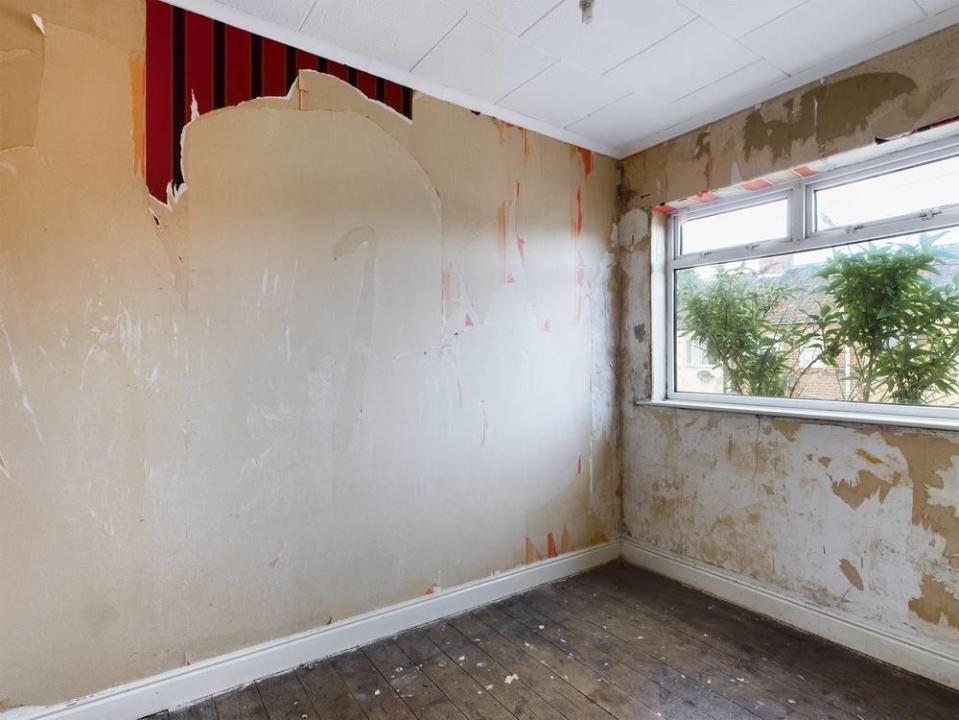 Overgrown plants creep in on the back bedroom