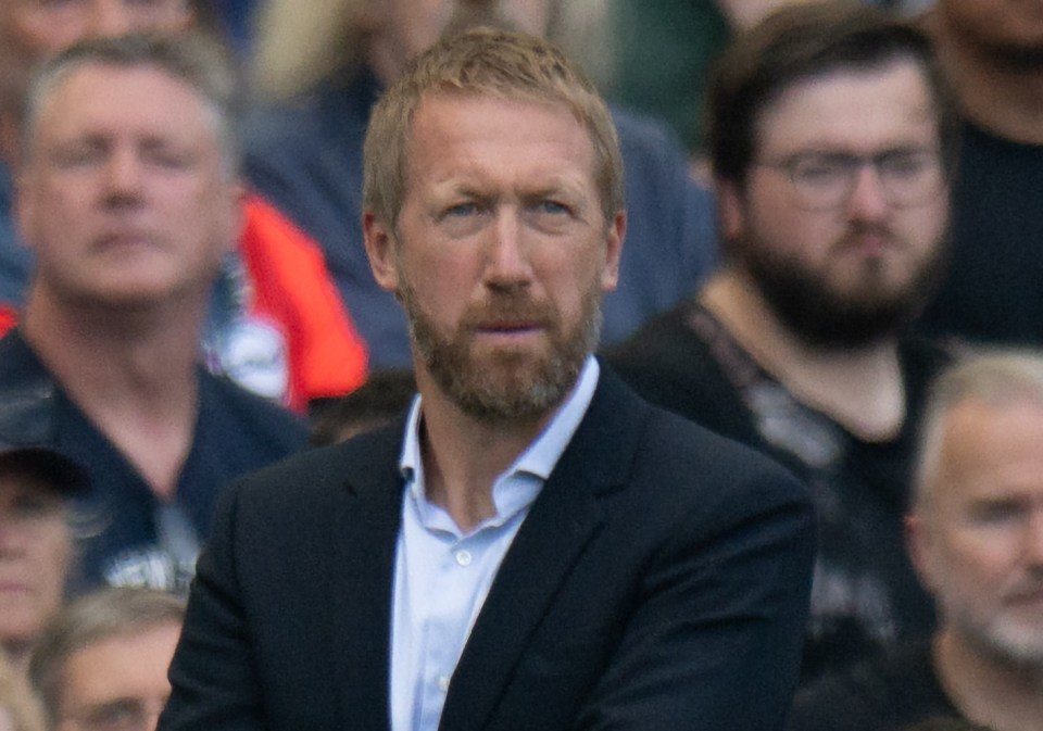 Graham Potter has built an exciting side at Brighton