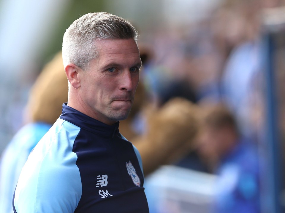 Steve Morison has been sacked by Cardiff City