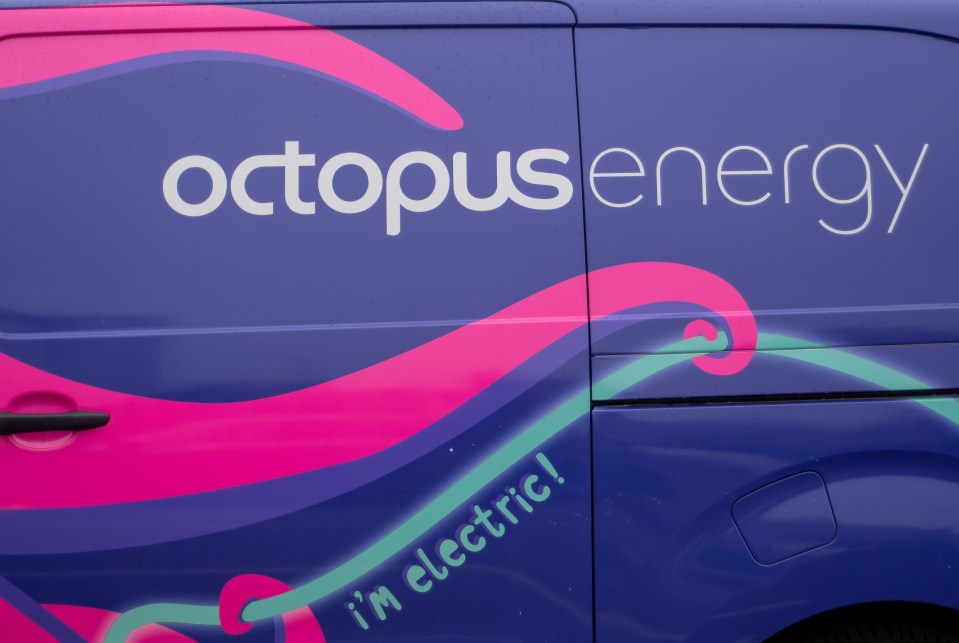 All Octopus Energy customers will get hundreds off their energy bills from October 1