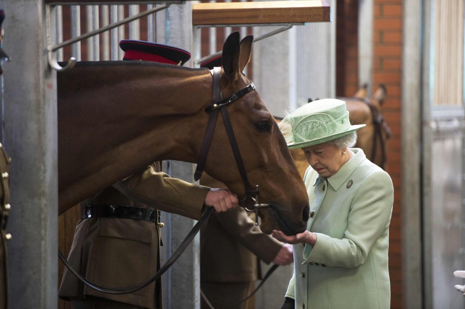 The Queen had hundred of winners down the decades