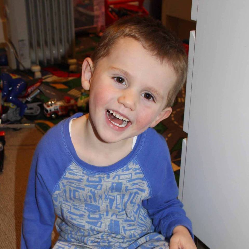 William Tyrrell, 3, disappeared from his foster gran's garden on September 12, 2014