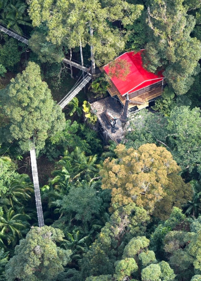 The show is already being set up in the Australian jungle