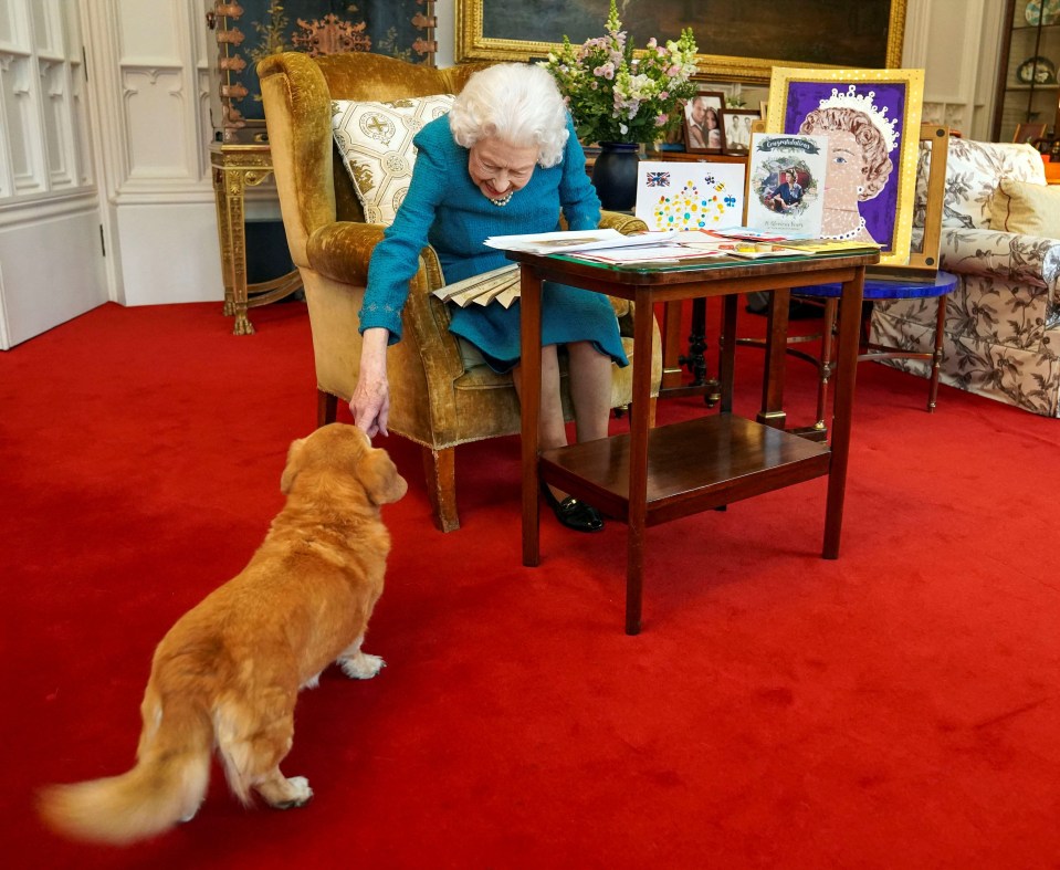 The Queen’s dorgi Candy trotted into the Oak Room in Windsor Castle as she looks at a display of memorabilia from her Jubilees