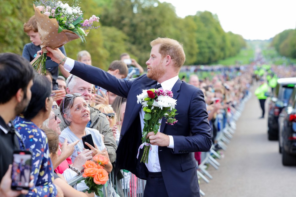 Prince Harry receives flowers from the crowd