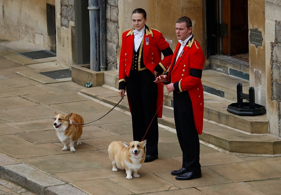 The Queen's loyal corgis waited at Windsor Castle for her coffin to arrive