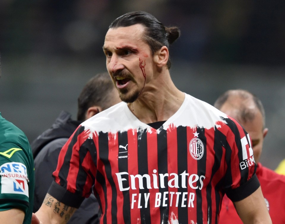 Ibrahimovic is currently recovering from serious injury - but vows not to retire