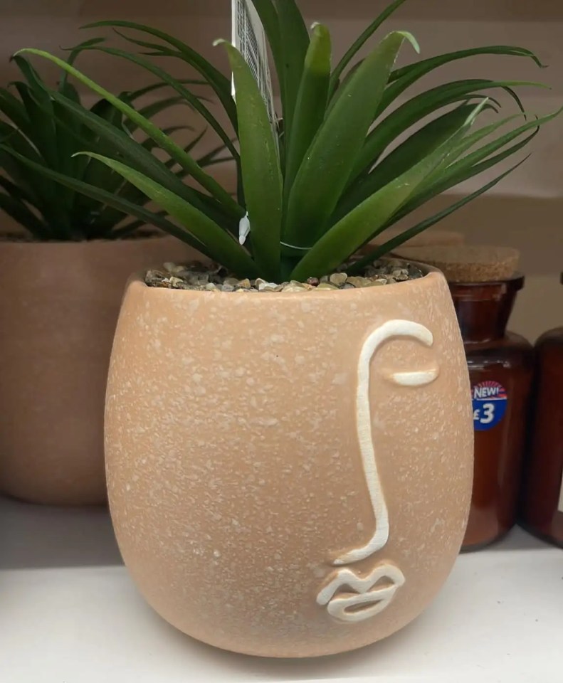 B&M is selling a ‘natural home’ range which includes beige plant pots