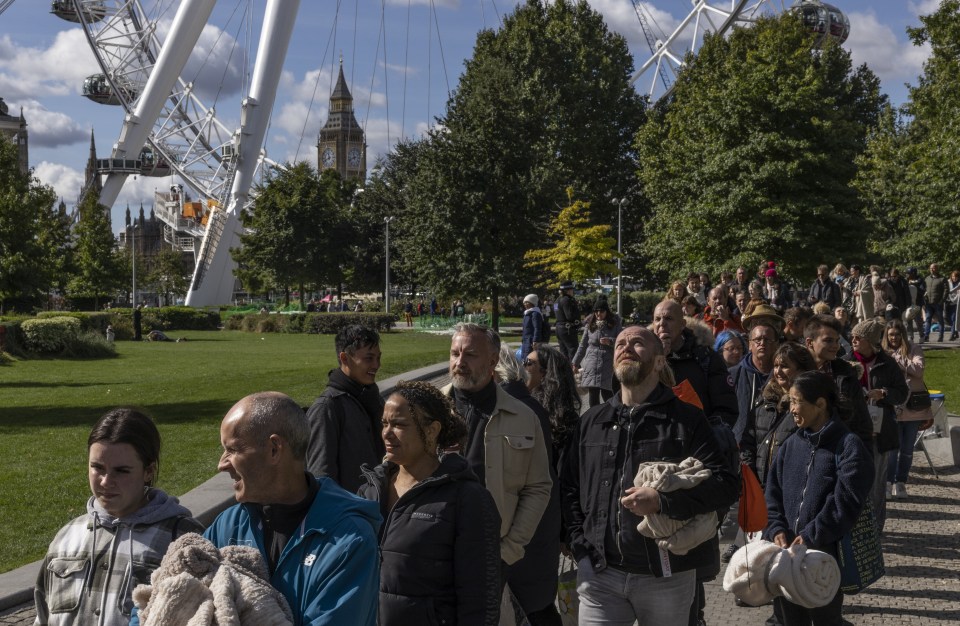 Members of the public queue in the shadow of the London Eye