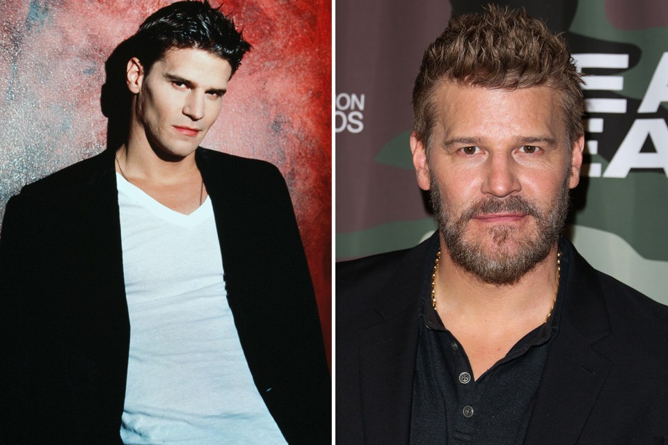 Still Buff! David Boreanaz then and now