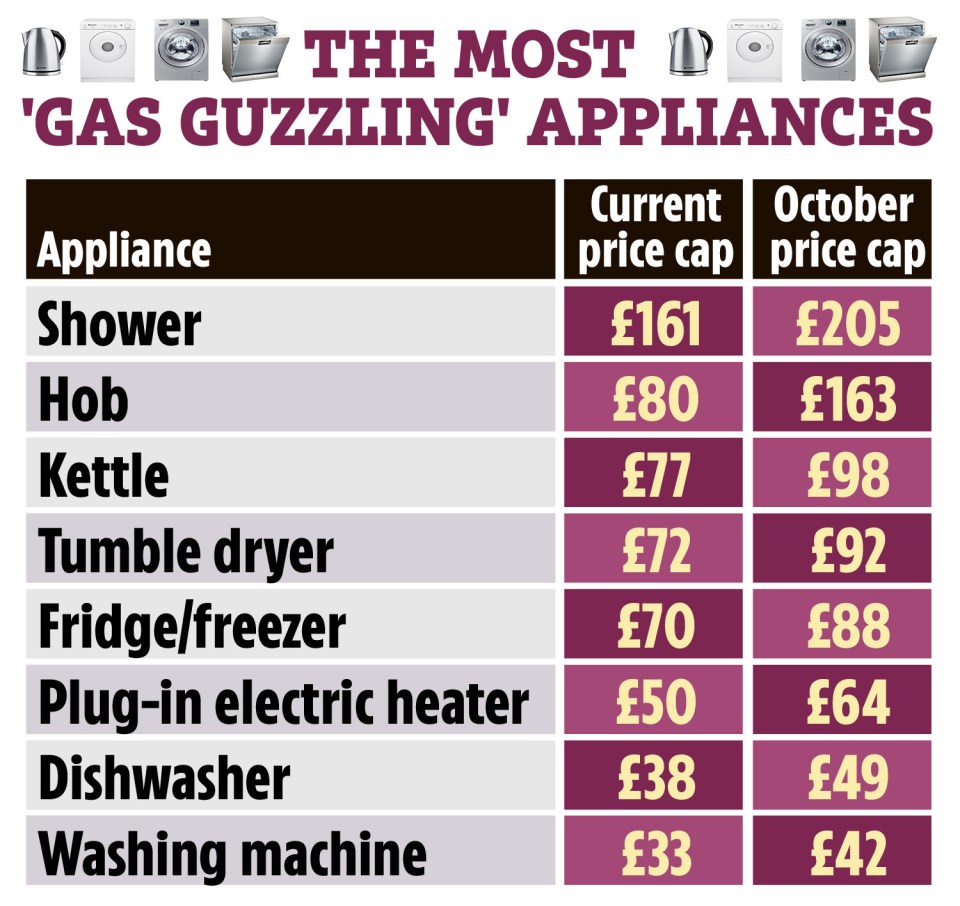 We reveal the most gas guzzling appliances