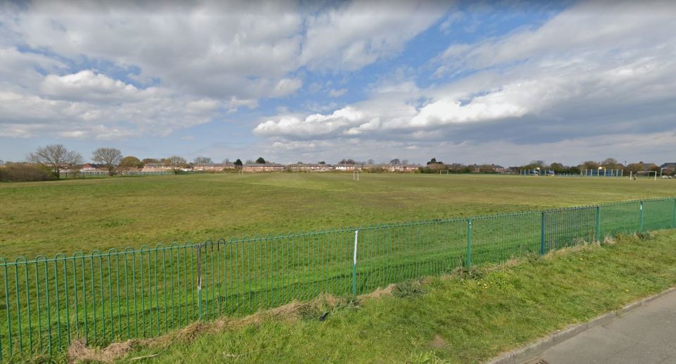 The out-of-control animal attacked five people att the park in Ellesmere Port