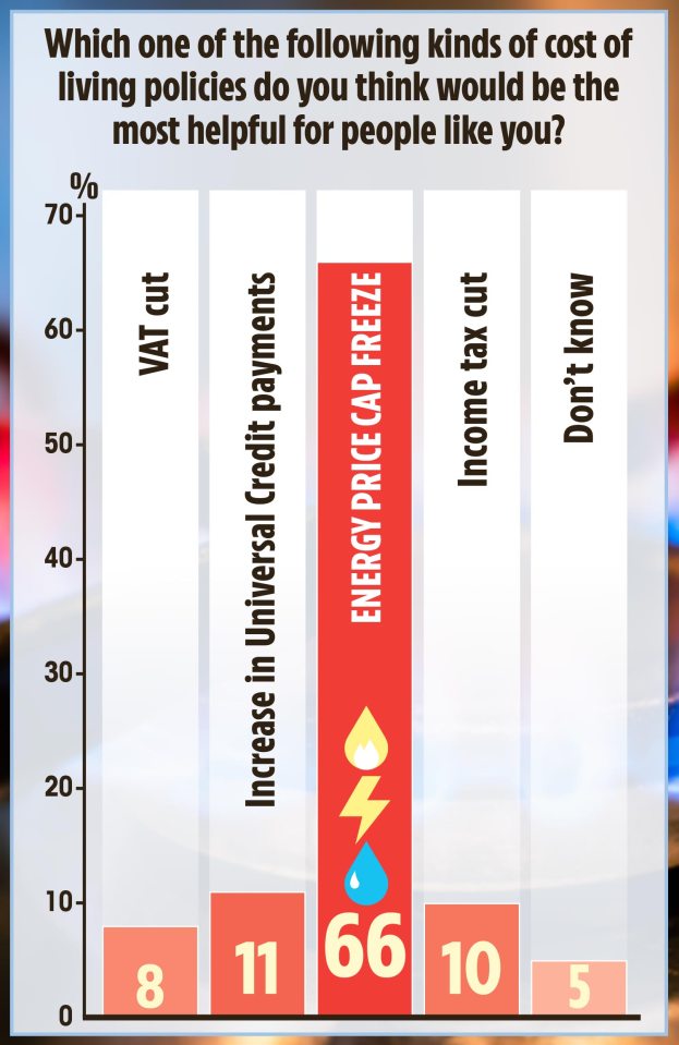 Two-thirds of those polled called for energy caps to be frozen