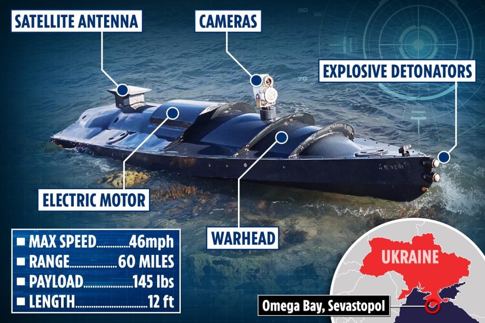 What is believed to be a USV drone washed up in Ukraine last year