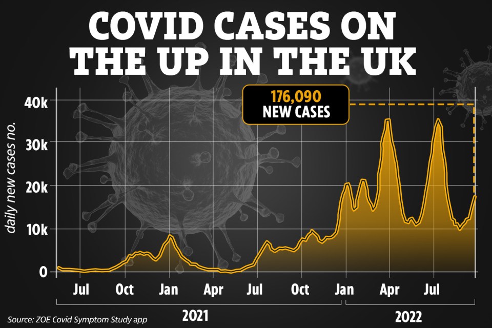 The chart above shows how Covid cases have risen slightly in the UK