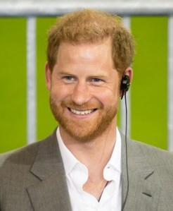 Prince Harry left his royal duties along with his wife Meghan Markle in 2020