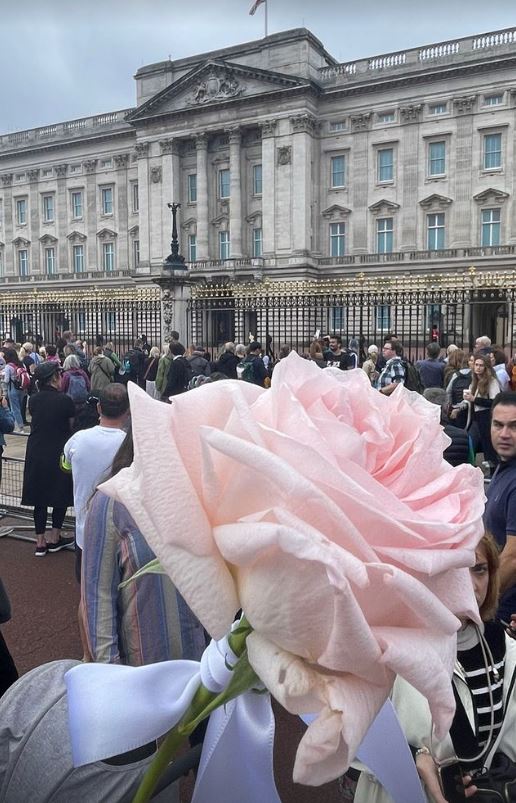 The TV star laid a single pink rose in tribute to Her Majesty