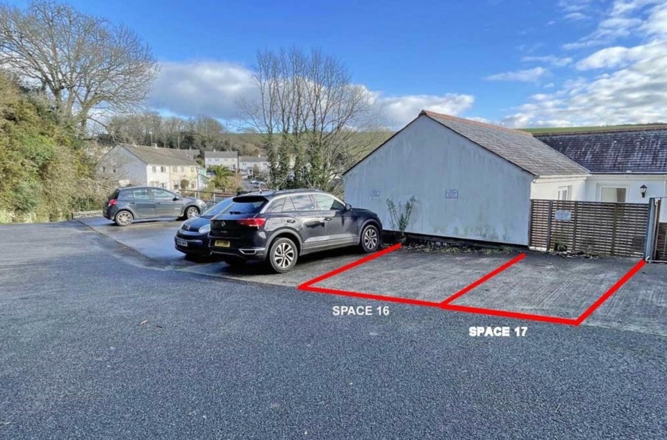 A woman has branded the sale of her neighbours' driveway 'ridiculous'