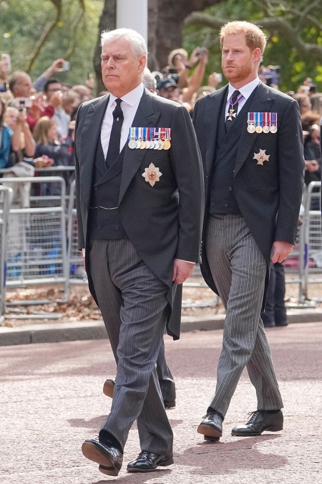 Having been banned from wearing their military uniforms, Princes Andrew and Harry marched in suits at Wednesday's Royal procession - despite being the only members of The Firm to see active service