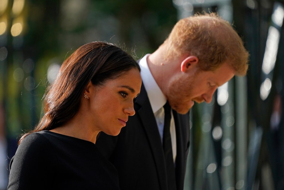 Prince Harry showers ‘darling wife Meghan’ in praise in the statement