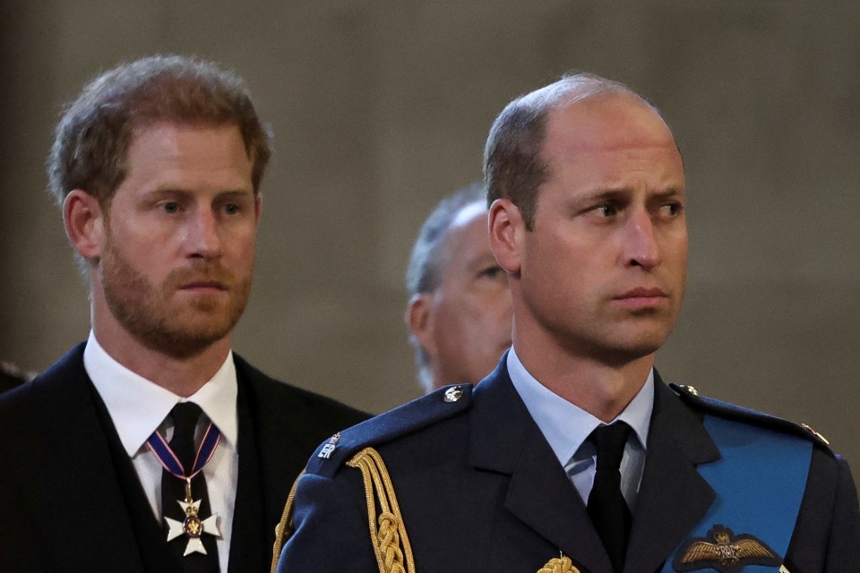 A sombre Harry and William following their grandmother's coffin