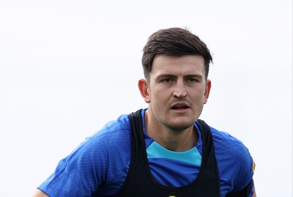 Giorgio Chiellini feels Harry Maguire has been harshly treated