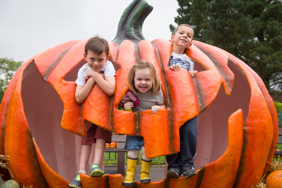 The deals include a one-night stay, early entry to the park, zoo and SEA LIFE Centre during the Halloween spooky event