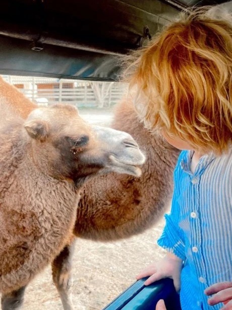 Wilfred gets up close to the animals at Port Lympne wildlife reserve in Kent