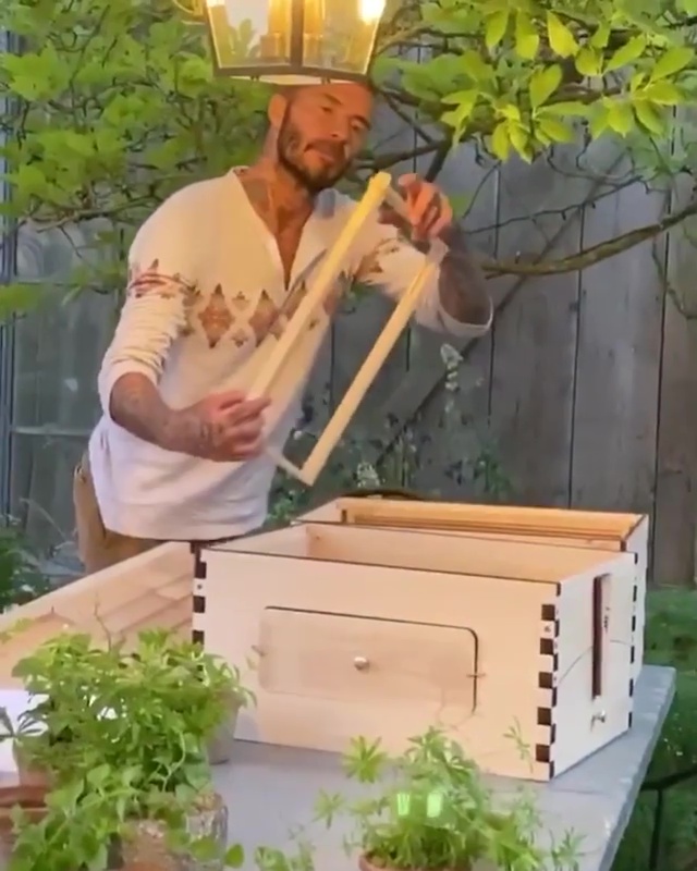 David fell in love with beekeeping after installing a hive at their Cotswolds mansion during lockdown