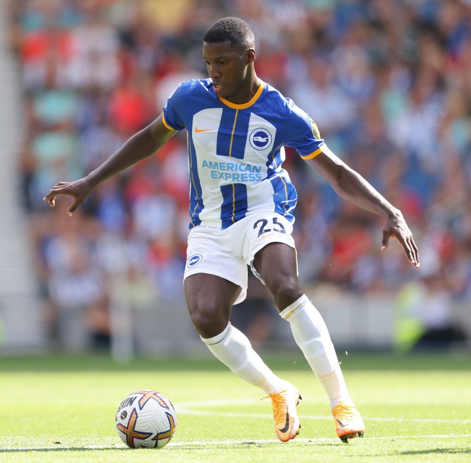 Moises Caicedo says 'nobody would turn down' a move to Chelsea and could reunite with Graham Potter at Stamford Bridge