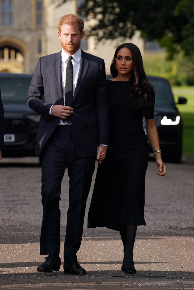 The Duke and Duchess of Sussex have £20million