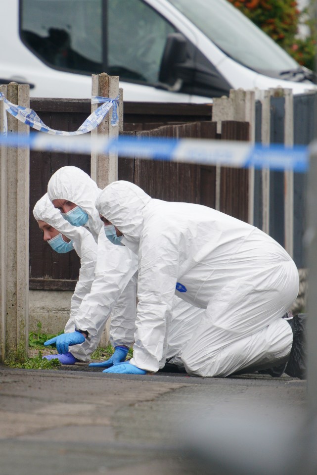 Investigators at the scene of the horror killing