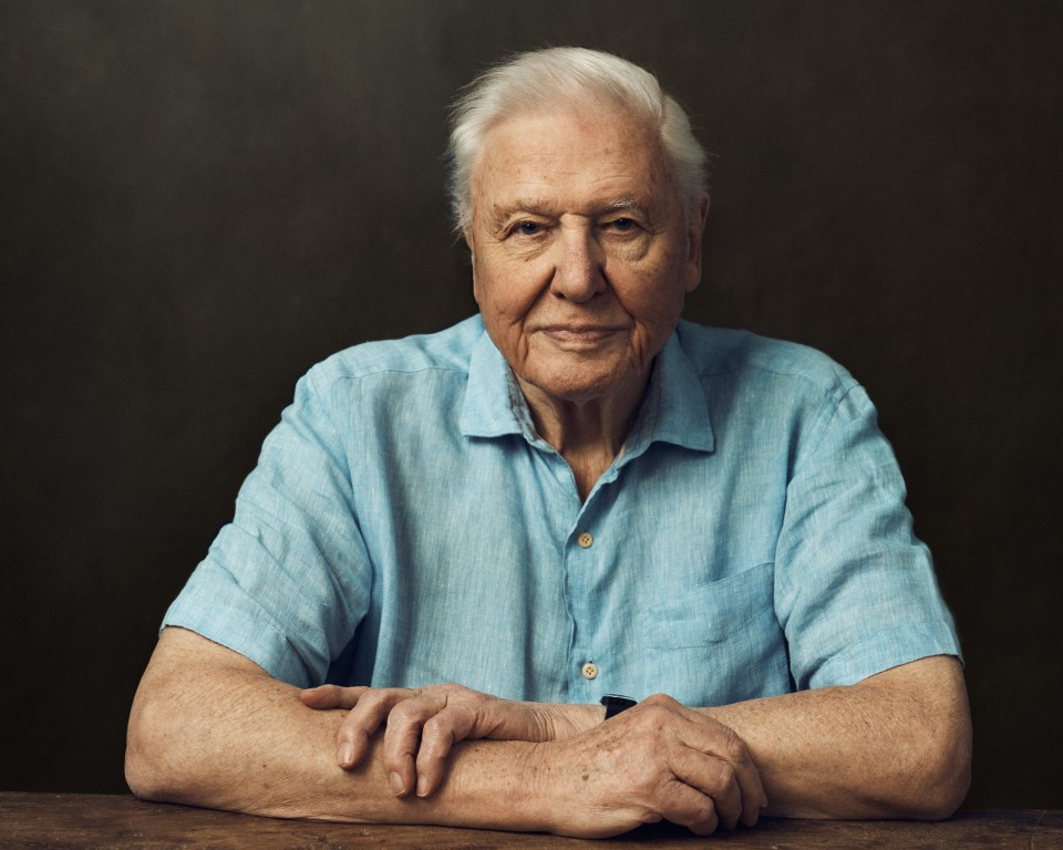 David Attenborough will narrate the documentary