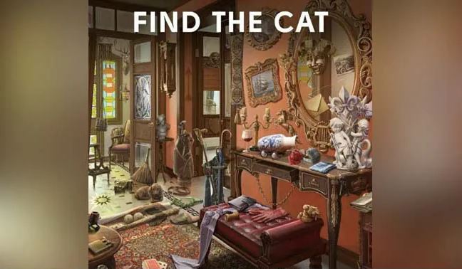 Can you spot the cat hidden in all this mess?