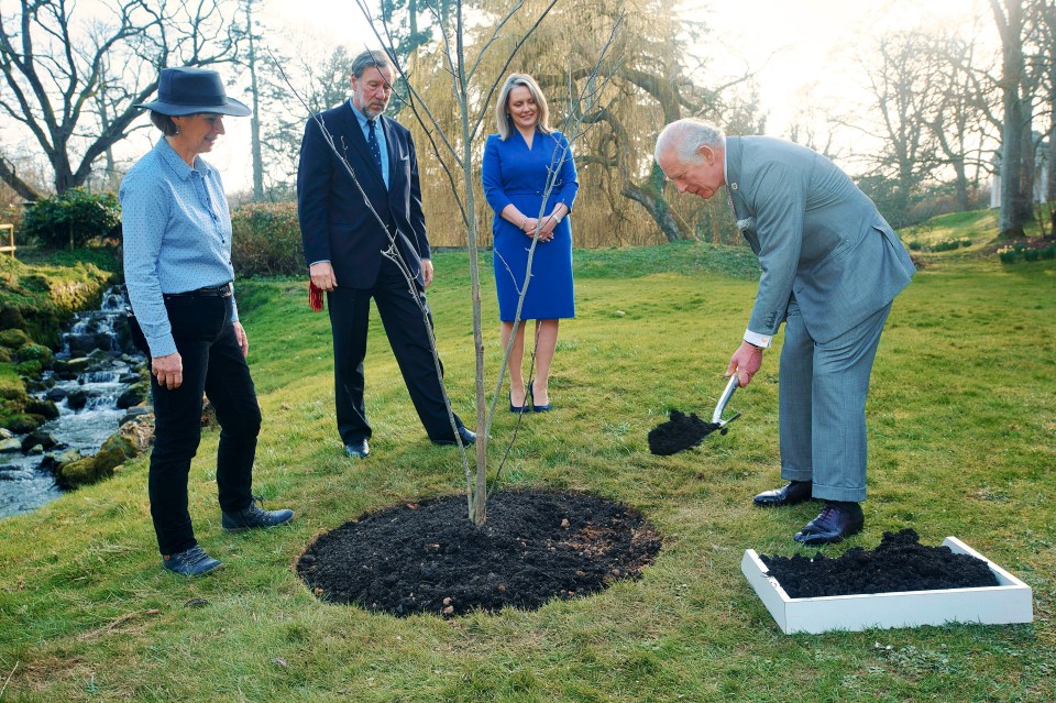 Green campaigner Charles planting a tree on a visit to Northern Ireland