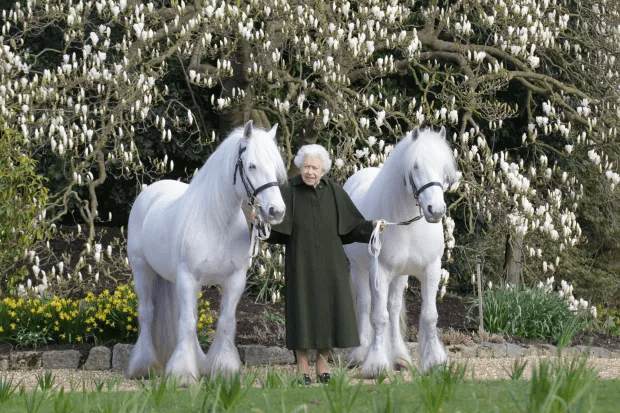 The Queen with two of her beloved fell ponies in a snap to mark her 96th birthday