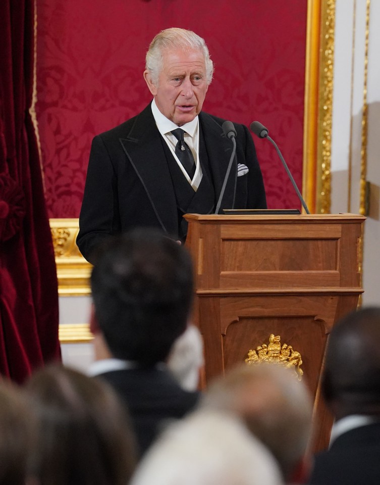 King Charles III during the Accession Council