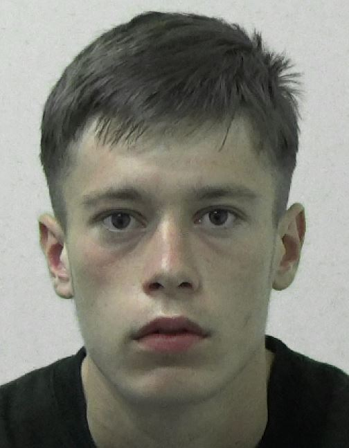 Kyros Robinson's solicitor said the then 17-year-old 'lacked maturity' at the time of the offence