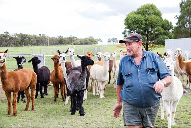 The 77-year-old man was savaged to death by a pet kangaroo on Sunday