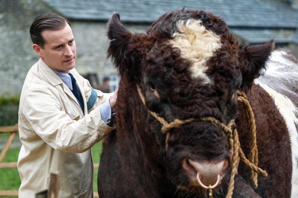 All Creatures Great And Small star Nicholas Ralph has proven to be so adept at working with animals that he has been offered a job as a real-life vet