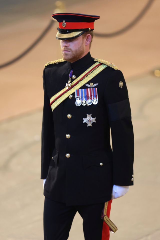 Prince Harry was allowed to wear his military uniform tonight