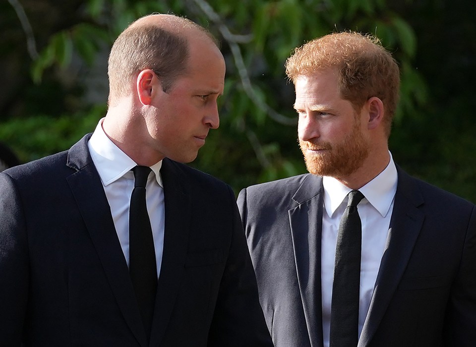 Harry claims William screamed at him during tense Megxit talks