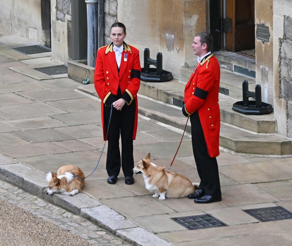 The Queen’s corgis waiting for her at Windsor Castle