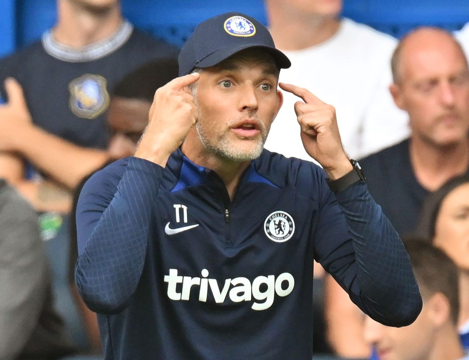 Thomas Tuchel was brutally sacked by the Blues